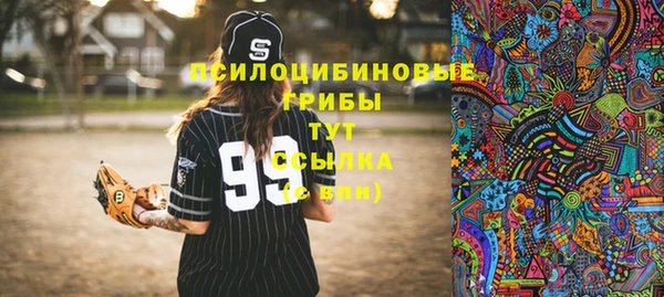 стафф Алексин